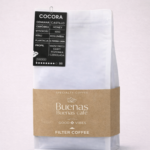 el porvenir castillo honey