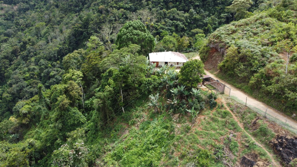finca los pinos colombia